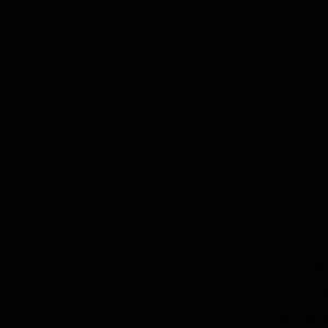 Meet your Posher, Yehuda